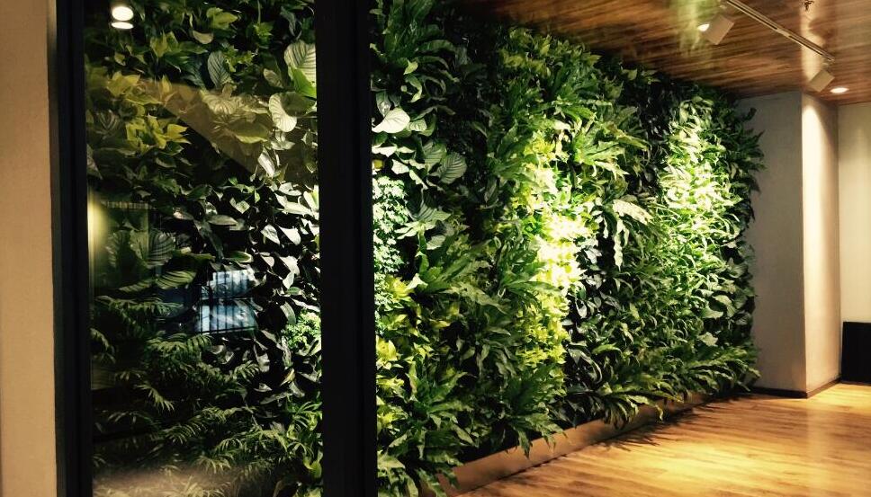 智能植物墙