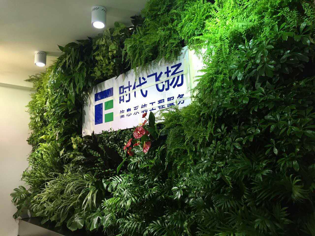 办公室植物墙