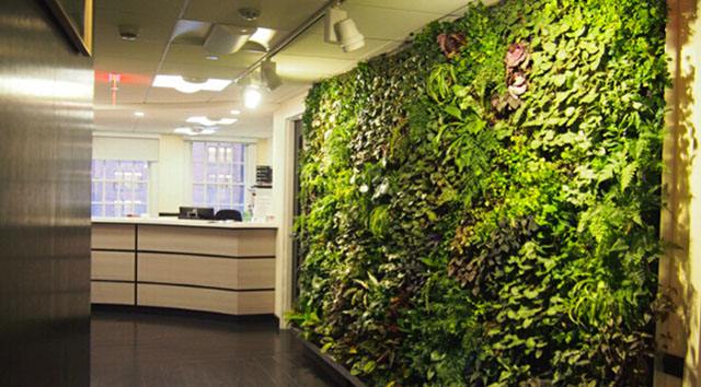 办公室植物墙