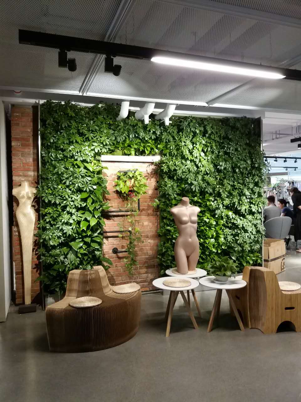 商店植物墙