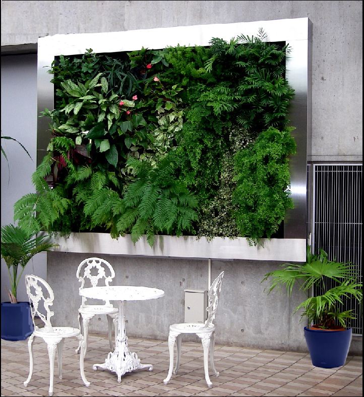 别墅植物墙