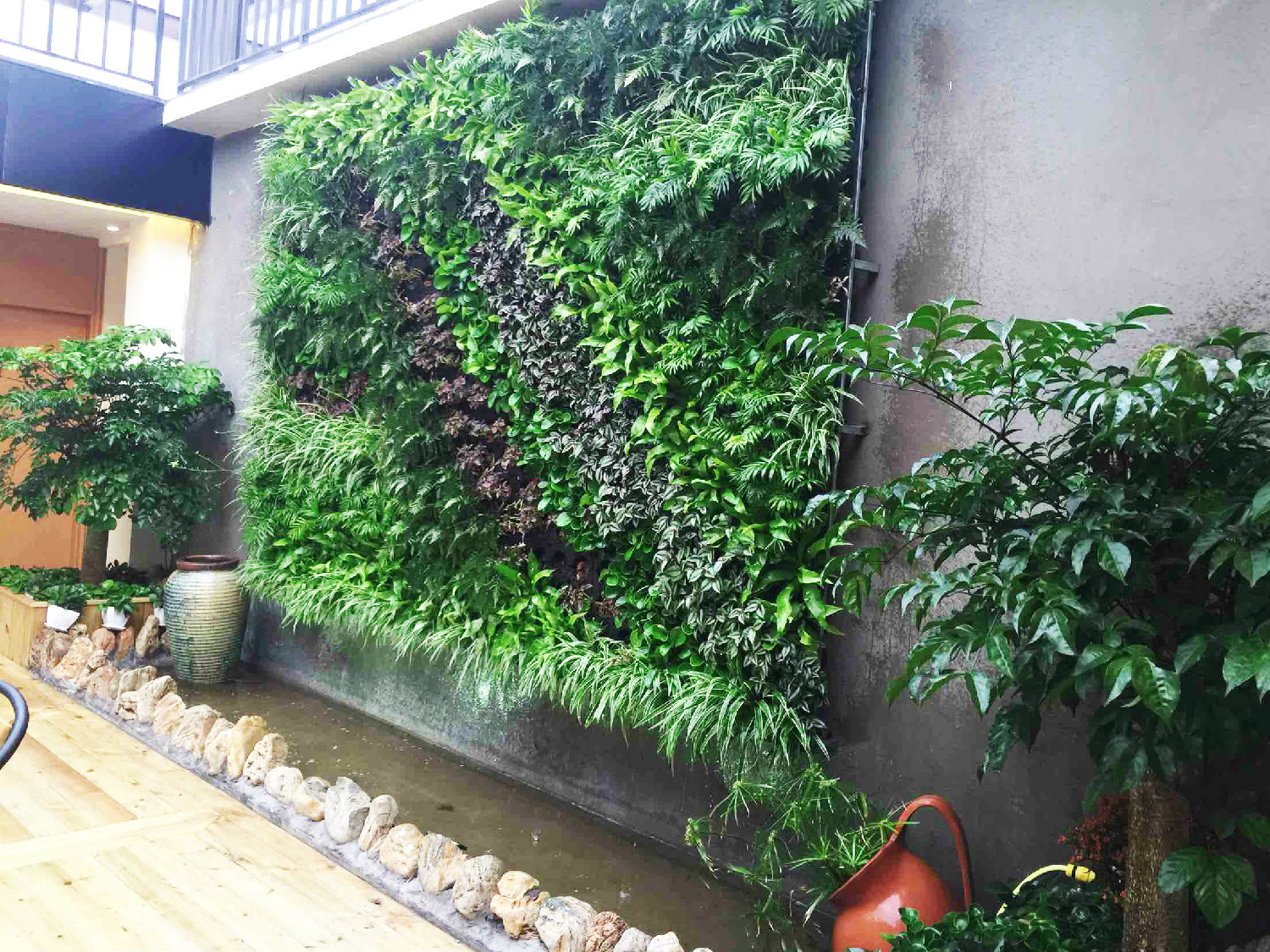 别墅植物墙