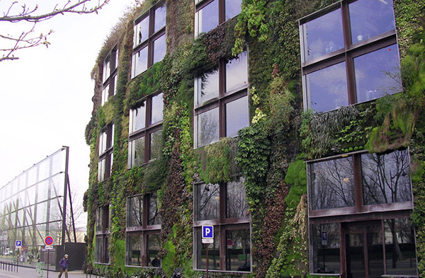 植物墙案例,植物墙图片,国外植物墙,绿植墙,垂直绿化