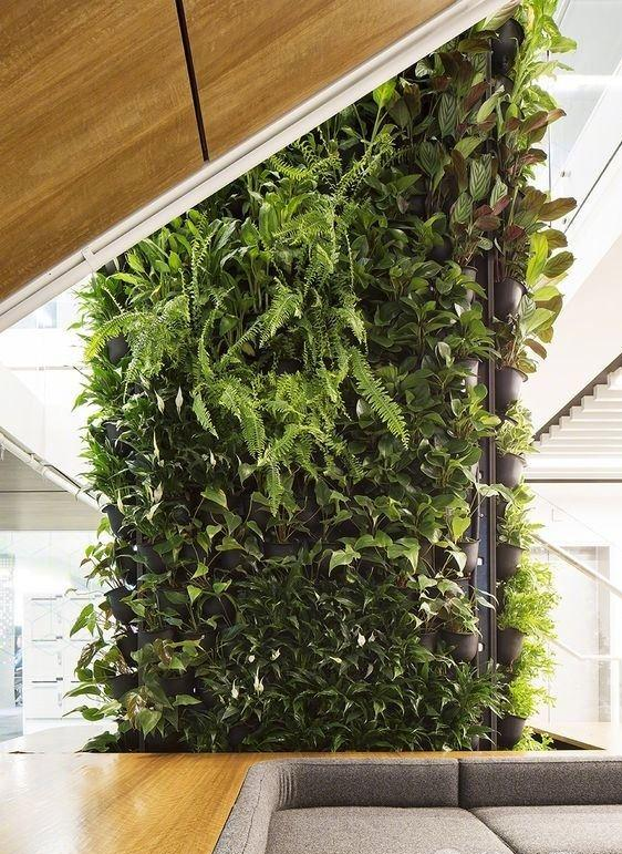 植物墙,室内植物墙,绿植墙