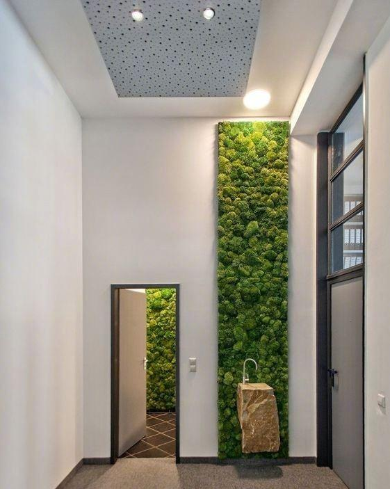 植物墙,绿植墙,室内植物墙,室内绿植墙定制