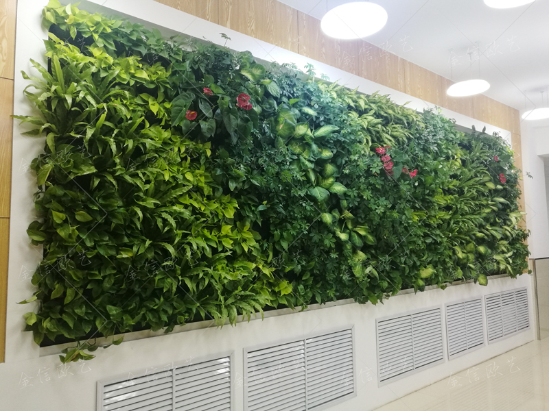 北京植物墙,北京植物墙公司,植物墙图片,植物墙定制