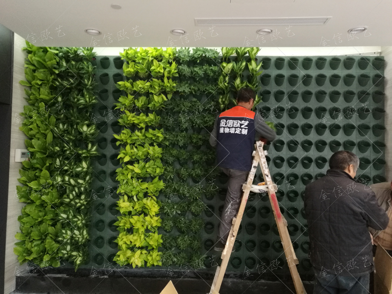 北京植物墙,北京绿植墙,植物墙公司,植物墙定制