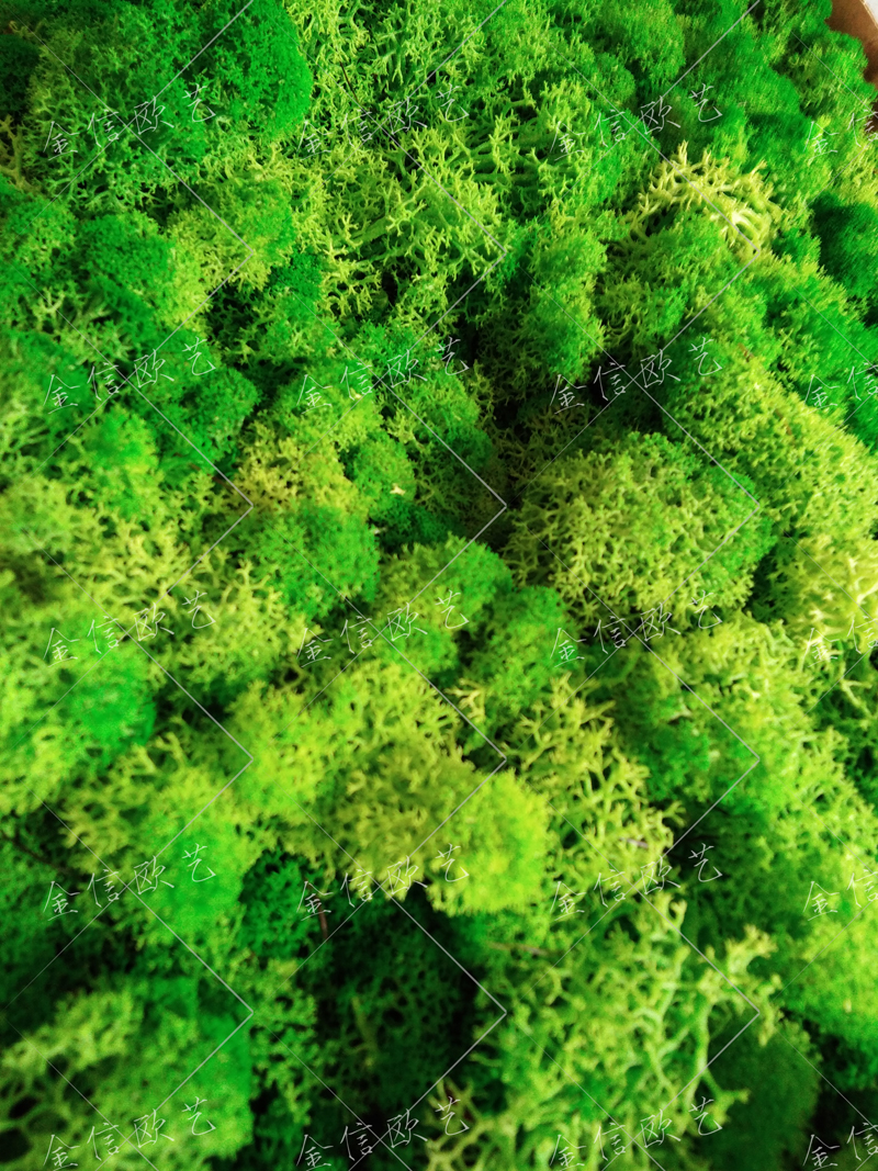 永生苔藓墙,北京永生苔藓墙定制