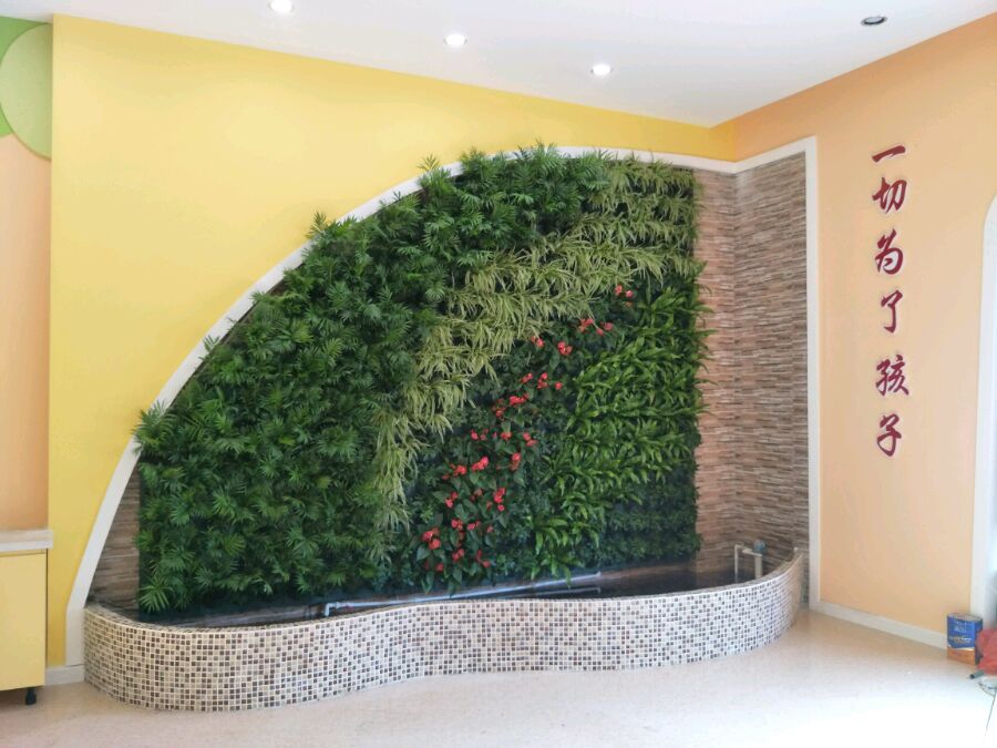 植物墙,幼儿园植物墙,学校植物墙