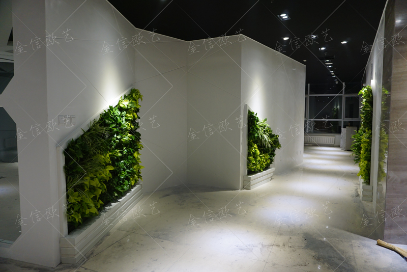 植物墙,北京植物墙,植物墙公司,北京绿植墙,绿植墙定制