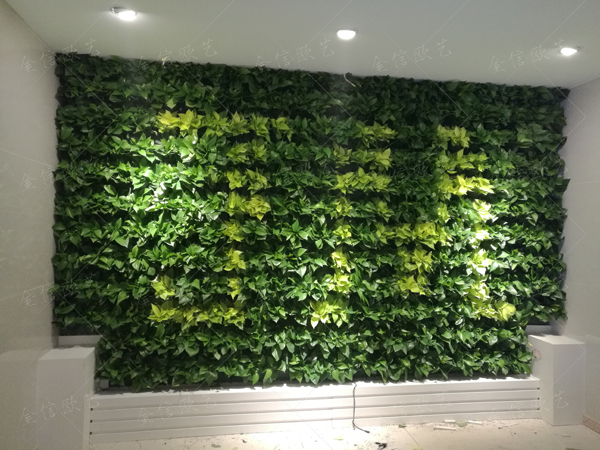 植物墙,北京植物墙,绿植墙,北京绿植墙定制，绿植墙公司