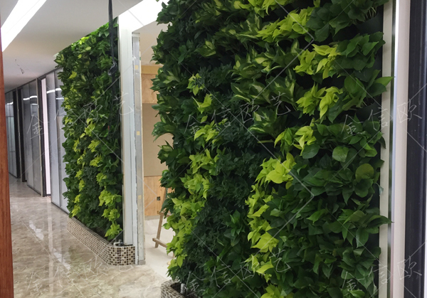 植物墙设计,植物墙色彩搭配,植物墙植物搭配,北京植物墙公司