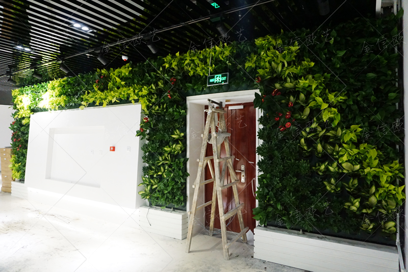 植物墙设计,植物墙色彩搭配,植物墙植物搭配,北京植物墙公司