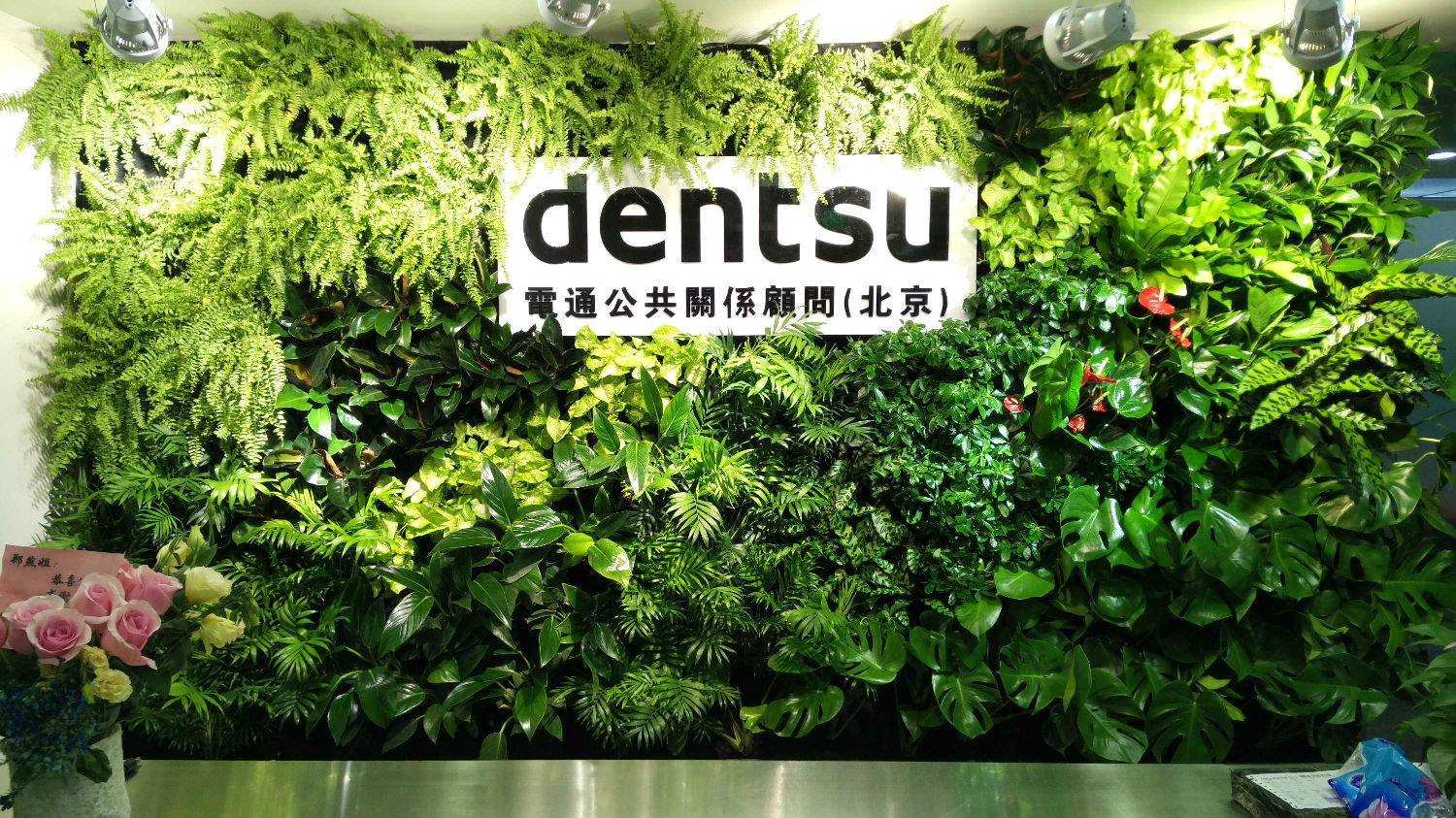 植物墙,植物墙设计,北京植物墙,植物墙公司