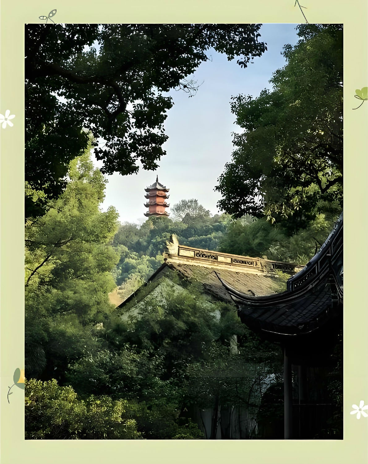 微信图片_20919125734_25_98.jpg