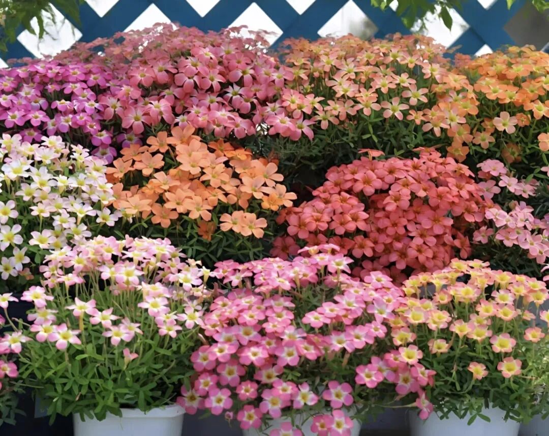 640 - 20T174058.271.jpg