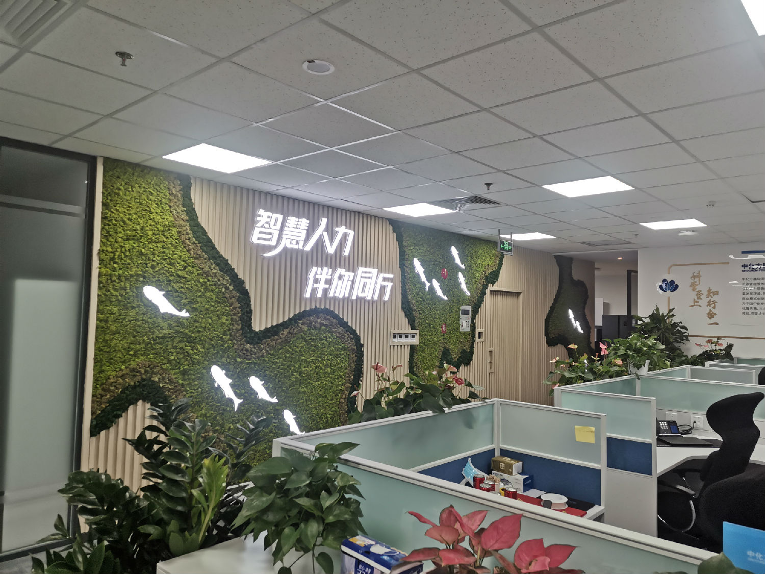微信图片_11129161052.jpg 微信图片_11129161052.jpg