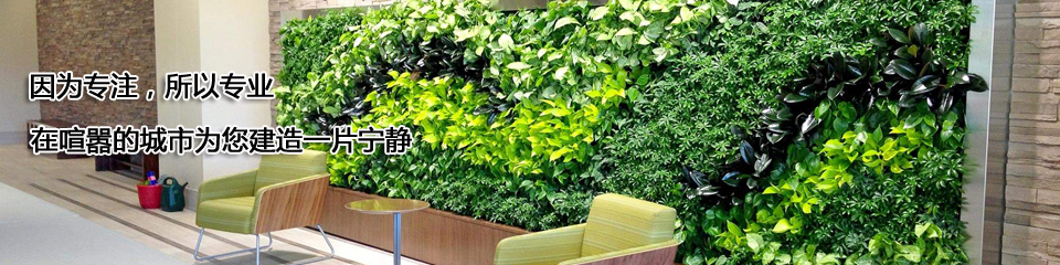 智能墙面绿化,墙面垂直绿化,室内墙面绿化,立体绿化墙