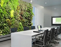 办公室植物墙