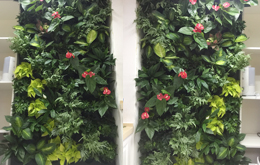 [北京植物墙]·西三旗生态美家公司植物墙案例